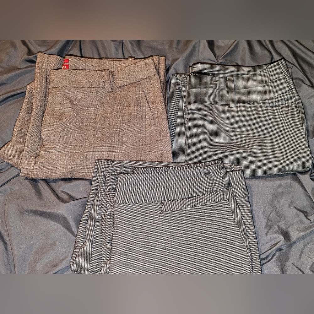 Multiples Women's Gray and Black Textured Trousers Trio